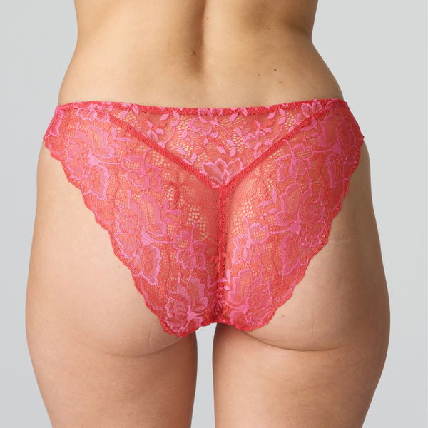 Manyla Rio Briefs in Pixie Red